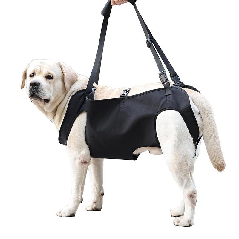 Harness Climbing Adjustable - Tali Bantu Naik Tangga untuk Anjing,