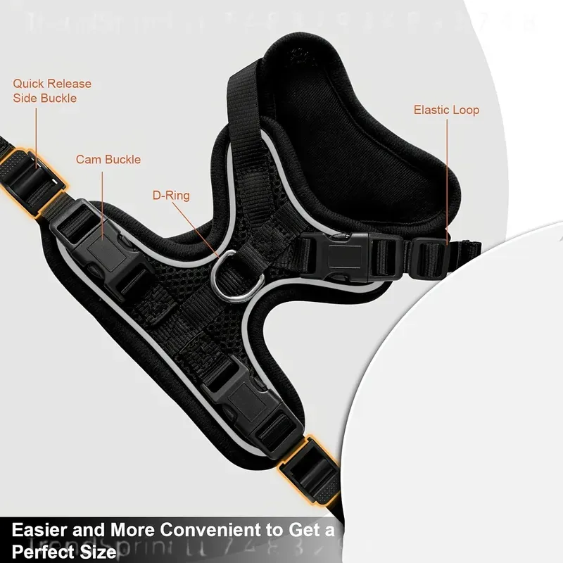 Set Tali dan Harness Kucing An - Outdoor Adventures ulasan dan harga