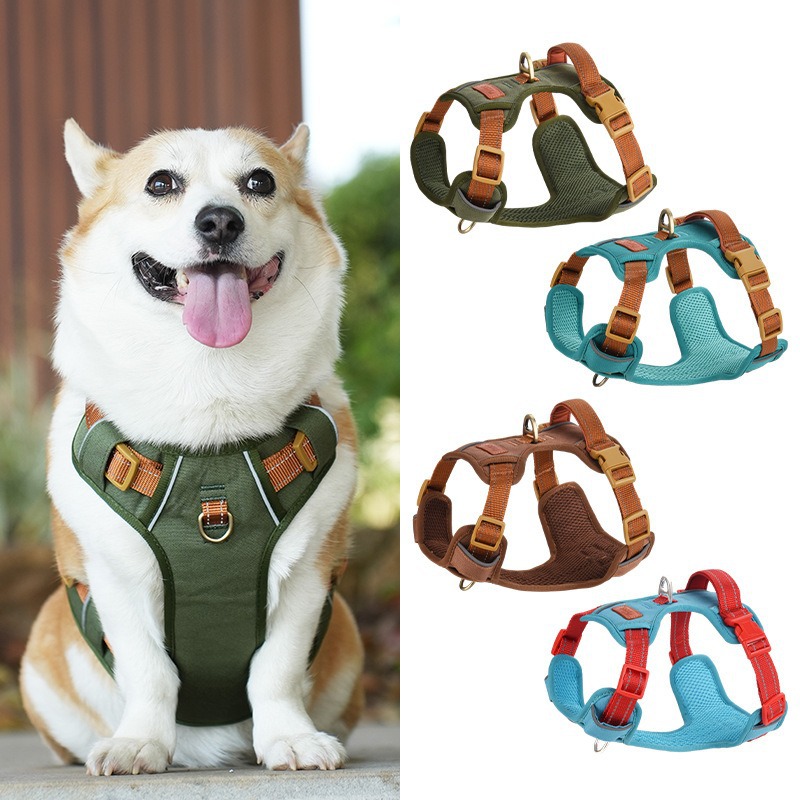 Harness Hewan Peliharaan Anti  - Harness Climbing Adjustable ulasan dan harga